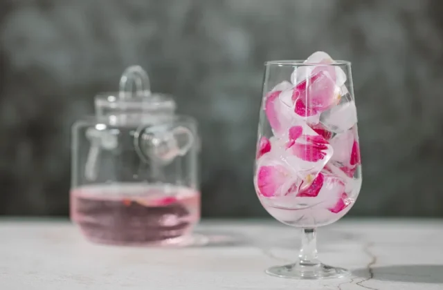 Fixing a Plastic Taste From Countertop Ice Makers