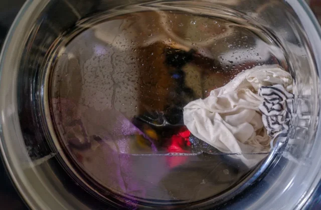 Deep Cleaning a Neglected Nugget Ice Maker