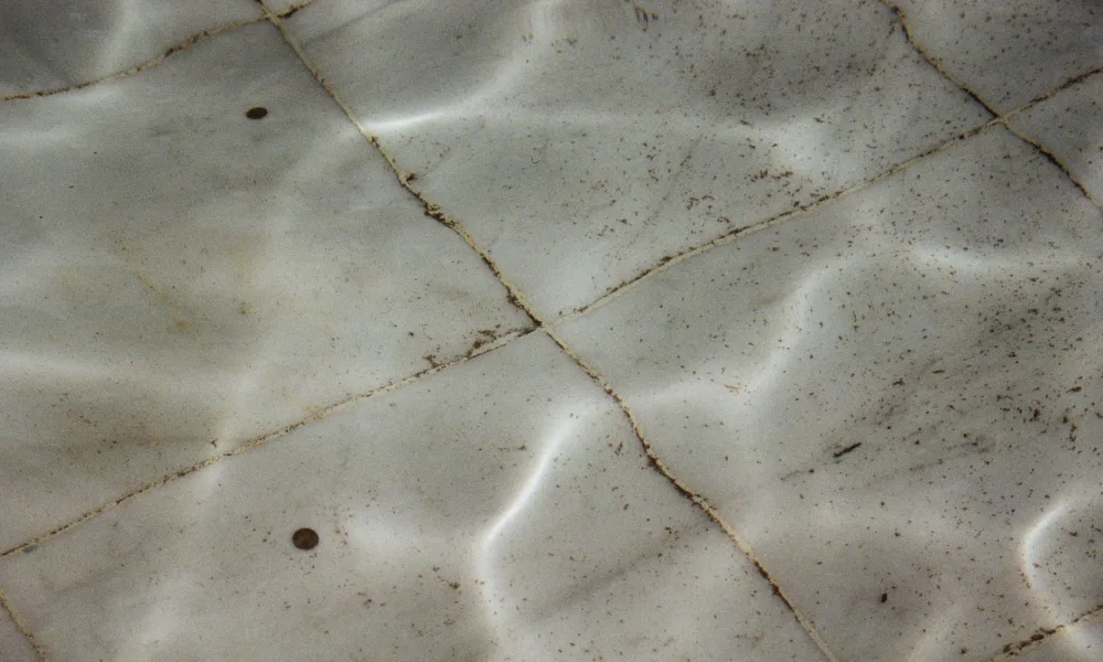 very dirty opal nugget ice maker interior before deep cleaning