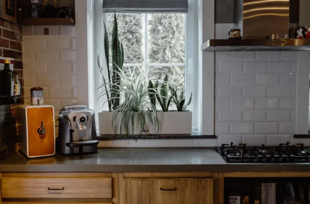 GE Profile Opal Nugget Ice Maker Explained