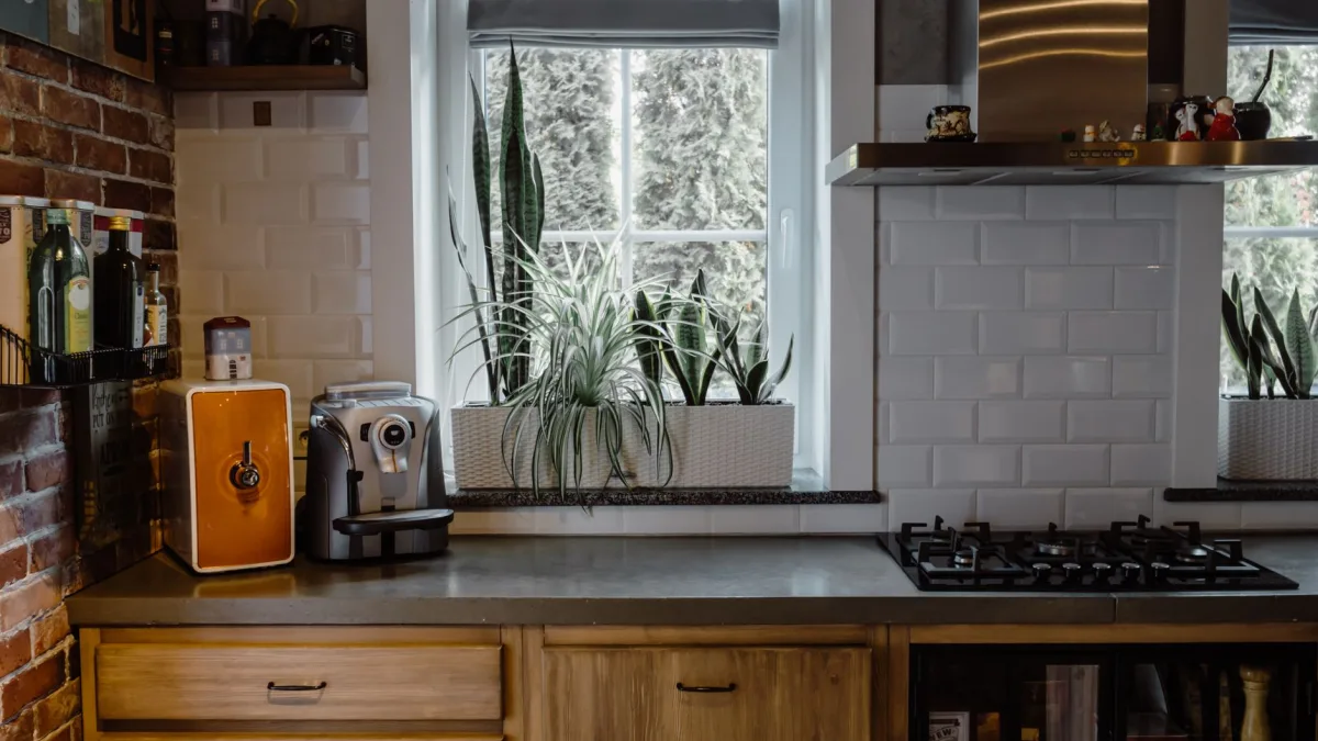 GE Profile Opal Nugget Ice Maker Explained