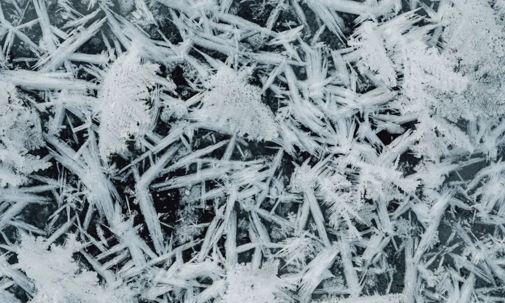 cutaway view of nugget ice maker auger flaking ice