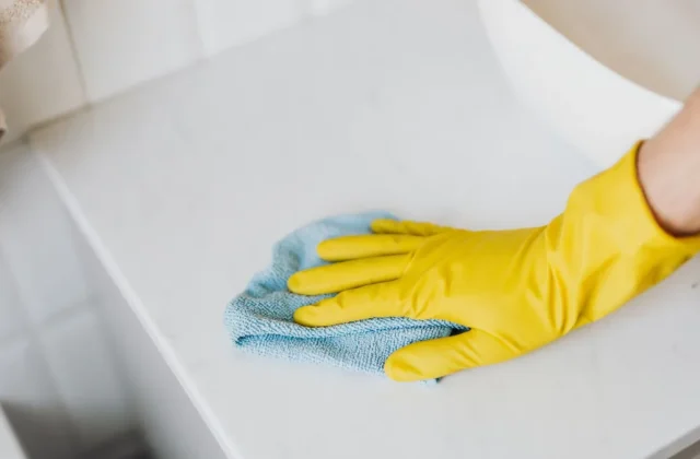 How to Clean an Ice Maker: Full Step-by-Step
