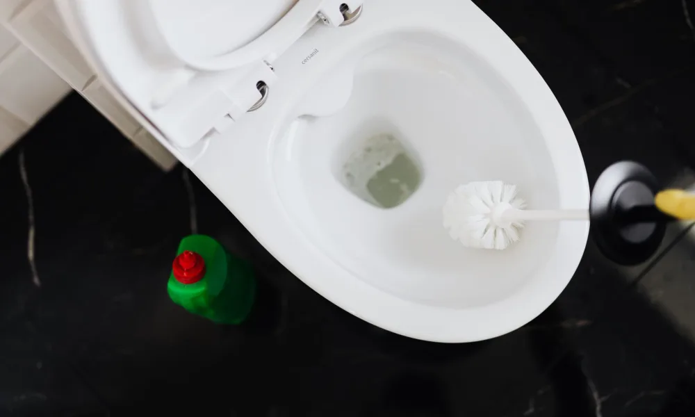 bottle of bleach with red no symbol next to ice maker