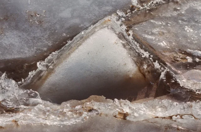 Ice Melting Too Fast in the Bin: Why It Happens