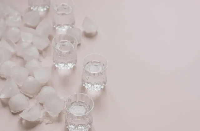 Is a Nugget Ice Maker Worth It for Chewers