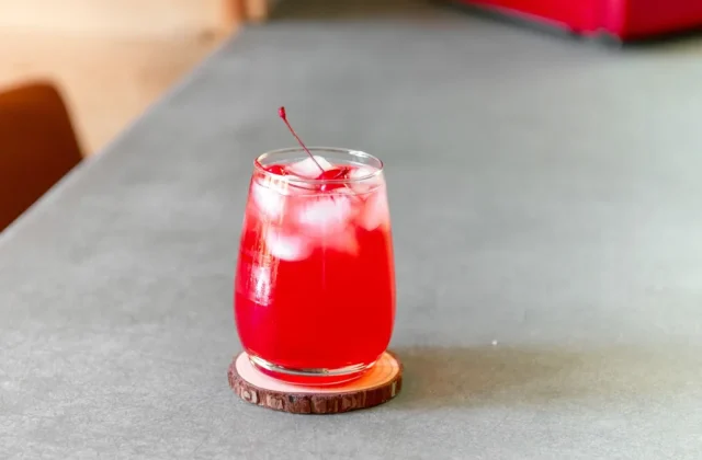 Nugget Ice Maker: What It Is and How It Works