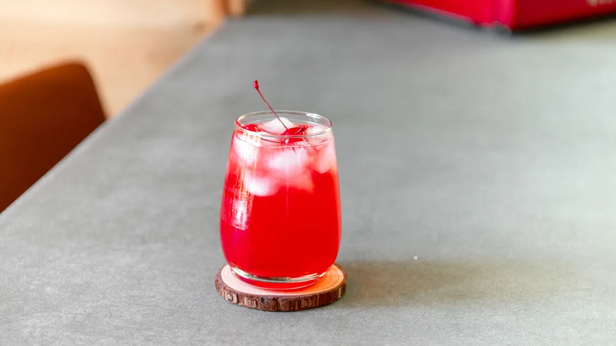 Nugget Ice Maker: What It Is and How It Works