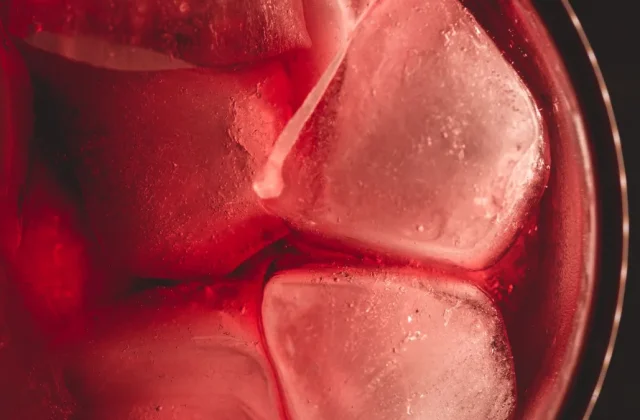 GE Profile Opal Ultra Nugget Ice Maker Features