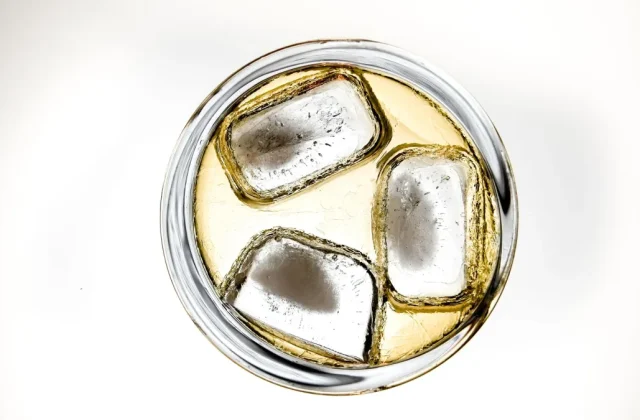 Why Your First Portable Ice Maker Batch Tastes Off