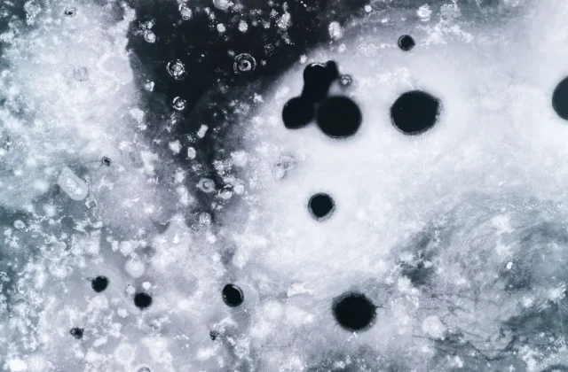 How to Remove Black Mold From an Ice Maker