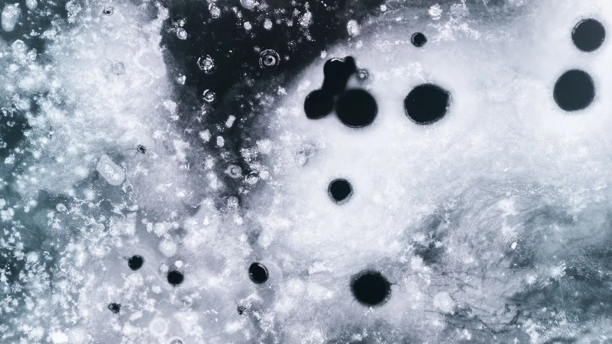 How to Remove Black Mold From an Ice Maker