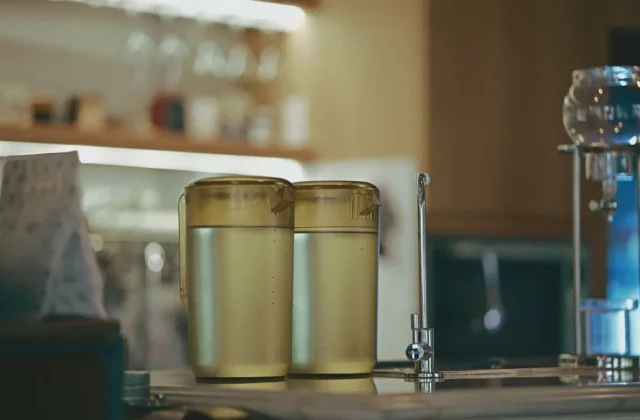 Vinegar vs Commercial Ice Maker Cleaner