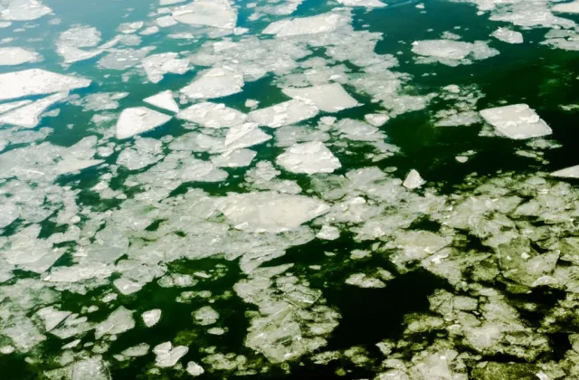 Water Not Freezing in Ice Maker: Causes to Check