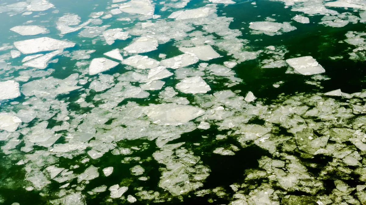 Water Not Freezing in Ice Maker: Causes to Check